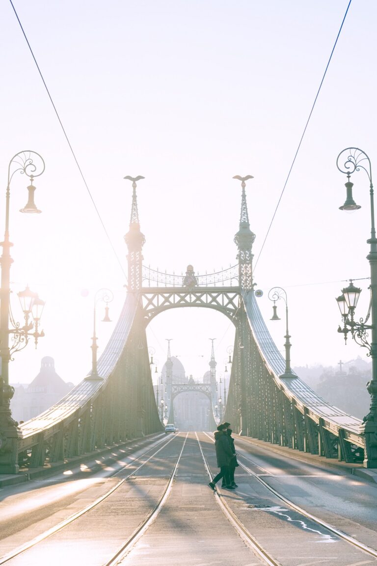pexels-maria-orlova-4947178